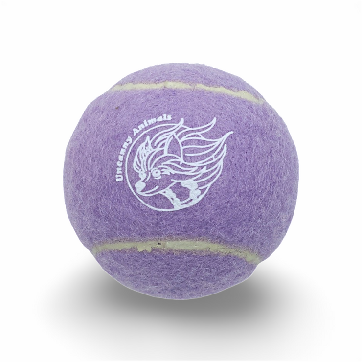Lavender Purple Squeaky Tennis Ball
