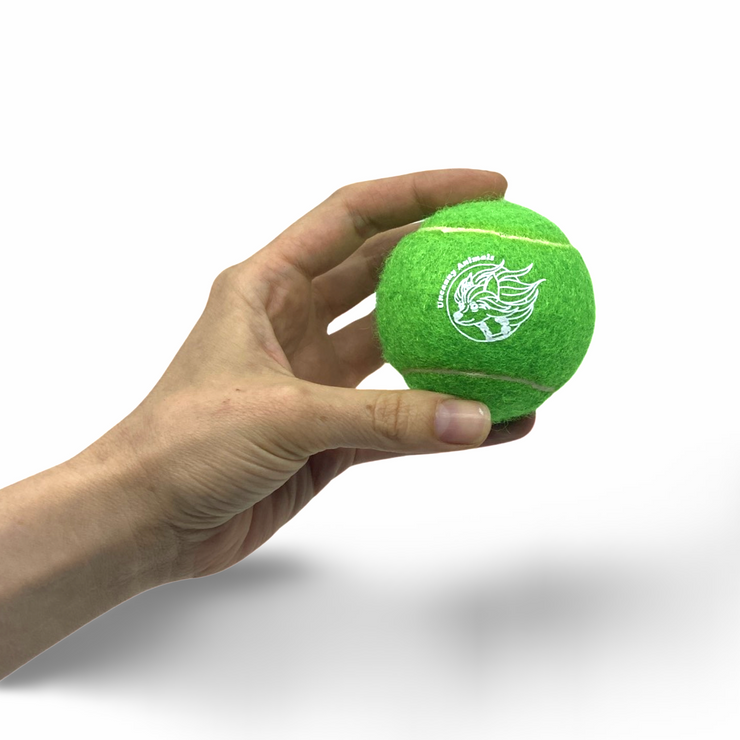Green Squeaky Tennis Ball
