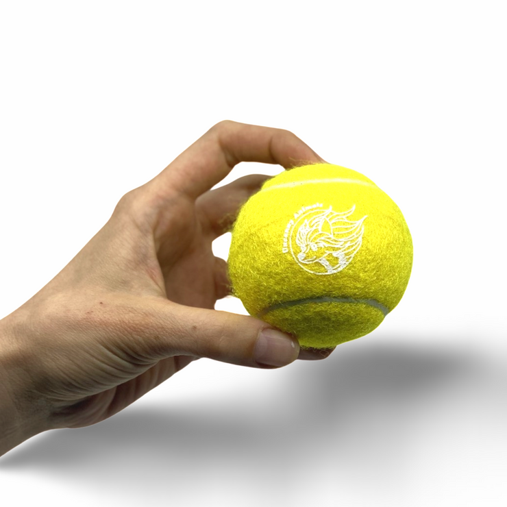 Yellow Squeaky Tennis Ball