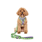 Toy Story - Buzz Lightyear Dog Leash
