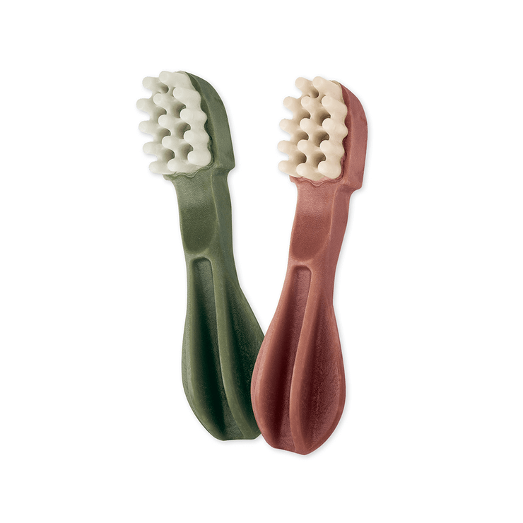 Large Toothbrush Dental Chew Whimzees
