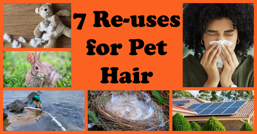 7 Thoughtful Re-uses for Pet Hair – Uncanny Animals