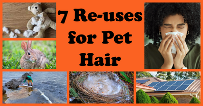 7 Thoughtful Re-uses for Pet Hair