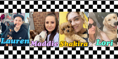 Sparkly new changes to pricing, booking, website, staff.