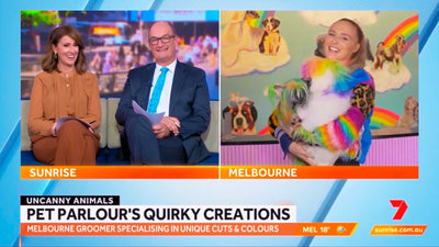 Uncanny Animals on Sunrise!