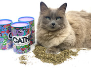 Uncanny Animals Top Shelf Catnip