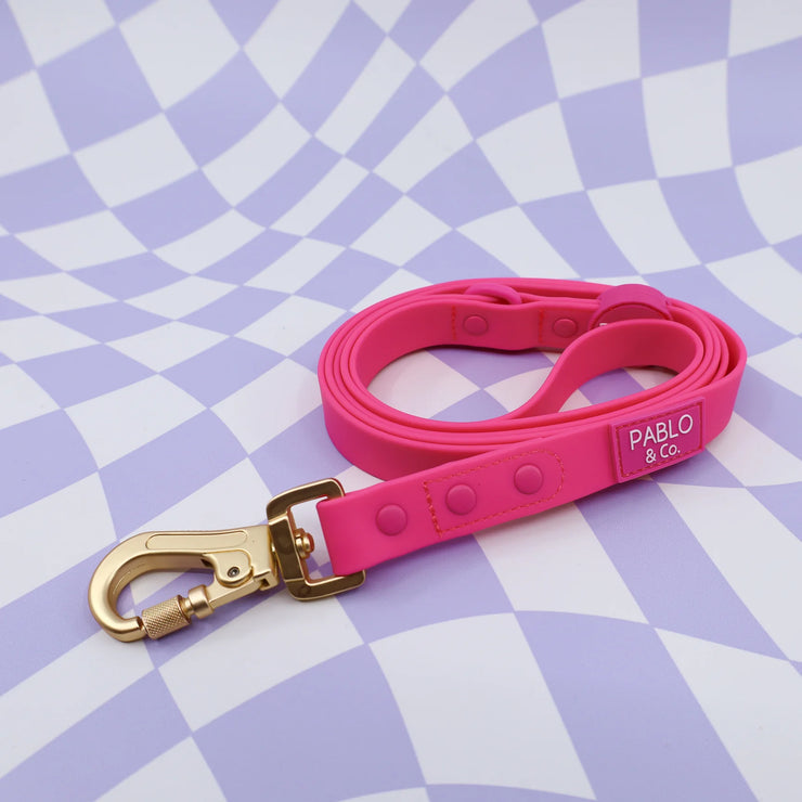 Dragonfruit Hot Pink Waterproof Leash
