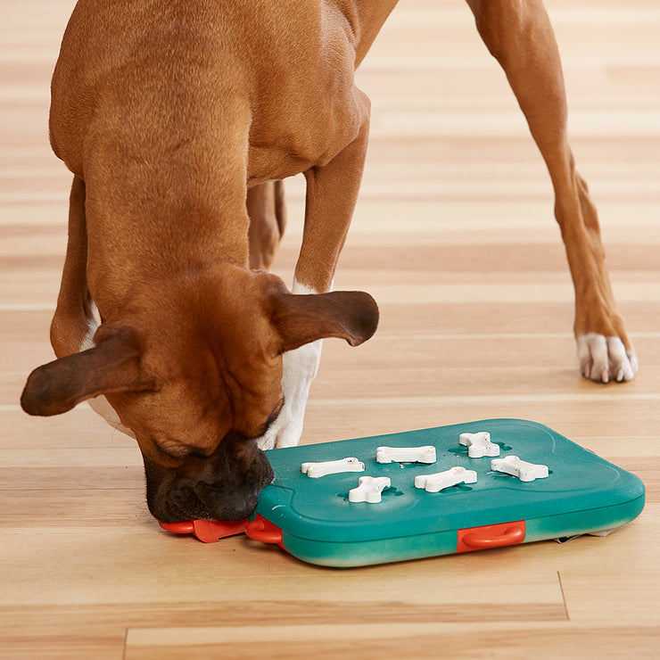 Dog Casino Dog Puzzle Toy - LEVEL 3