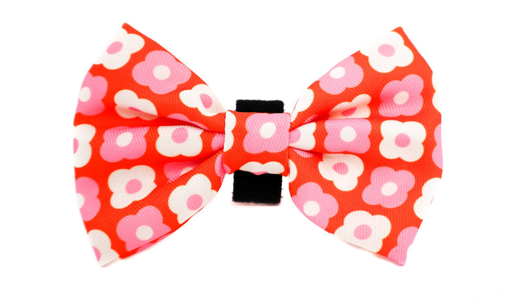 Pink Checkered Daisies Bow Tie