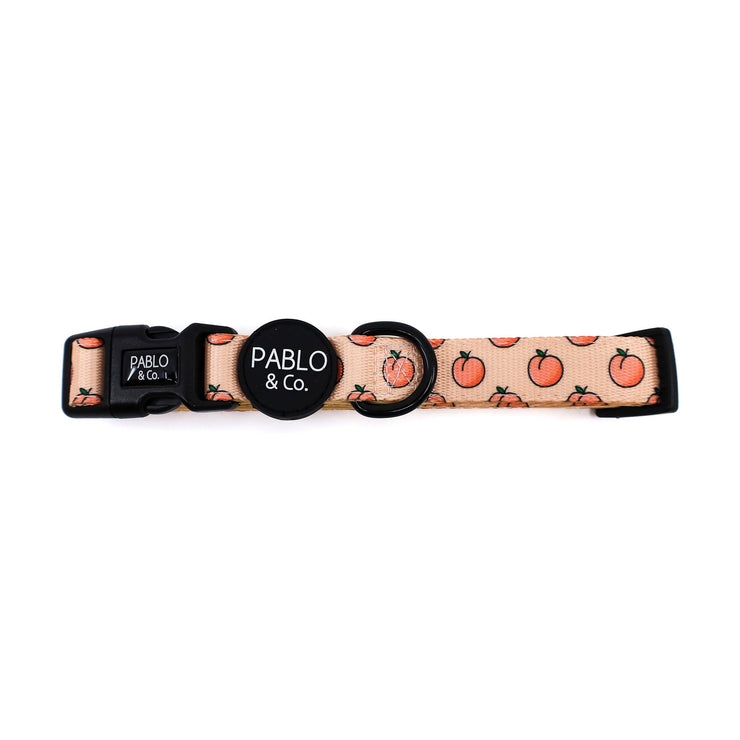 Peaches & Cream Dog Collar