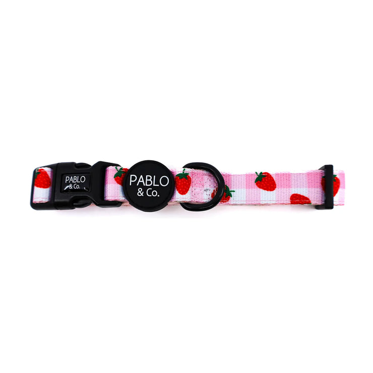 Strawberry Fields Dog Collar
