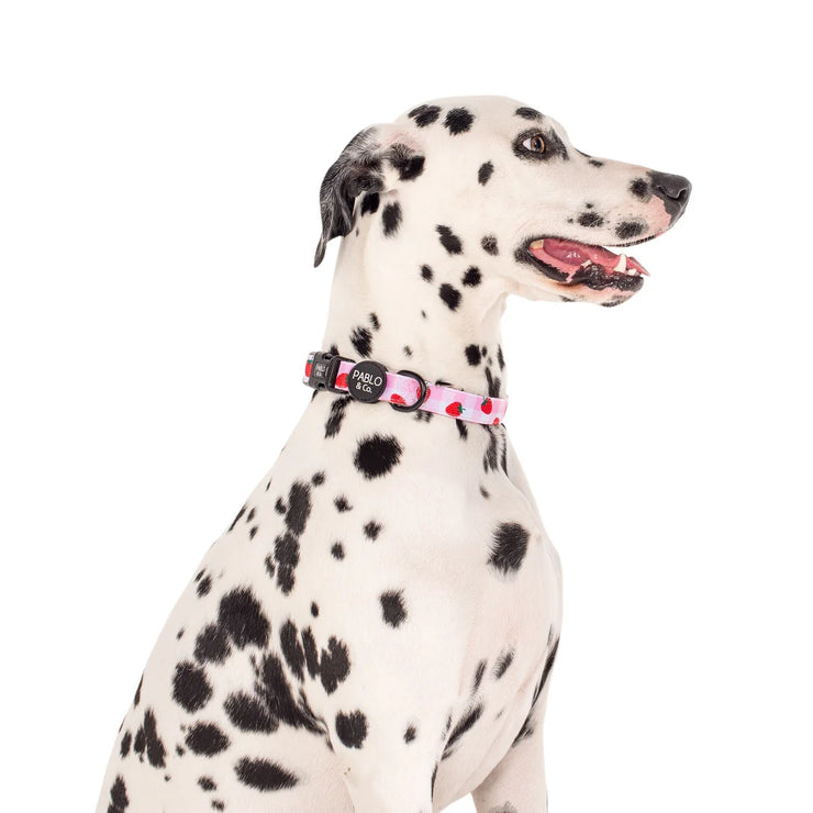 Strawberry Fields Dog Collar