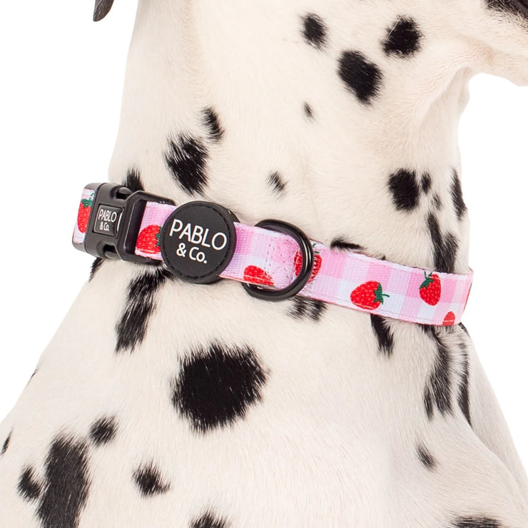 Strawberry Fields Dog Collar
