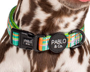 Groovy Grid: Collar