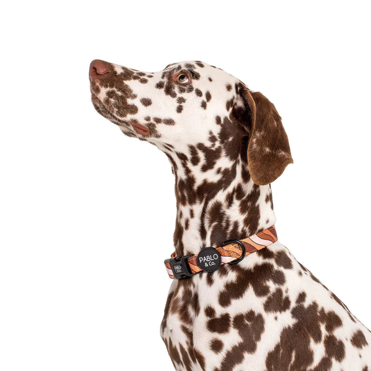 Espresso Swirls Dog Collar