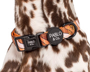 Espresso Swirls Dog Collar