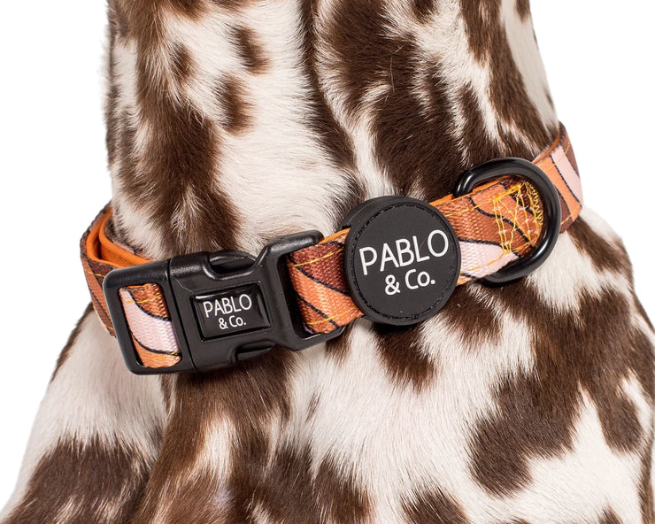 Espresso Swirls Dog Collar