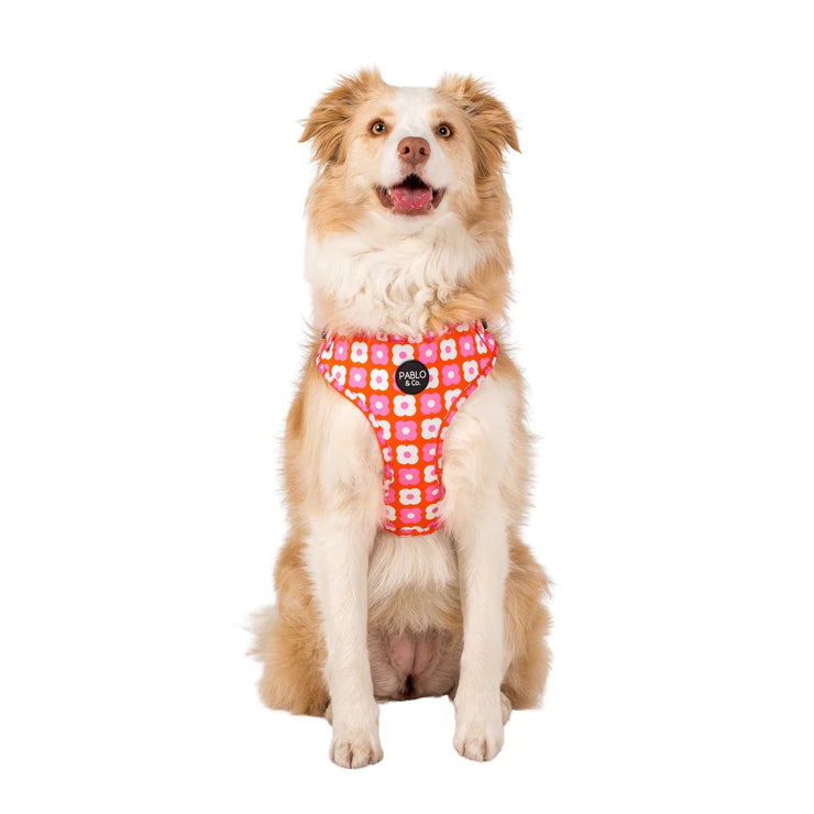 Pink Checkered Daisies Adjustable Harness