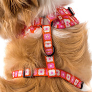 Pink Checkered Daisies Adjustable Harness