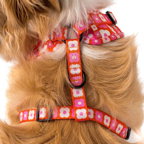 Pink Checkered Daisies Adjustable Harness