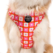 Pink Checkered Daisies Adjustable Harness