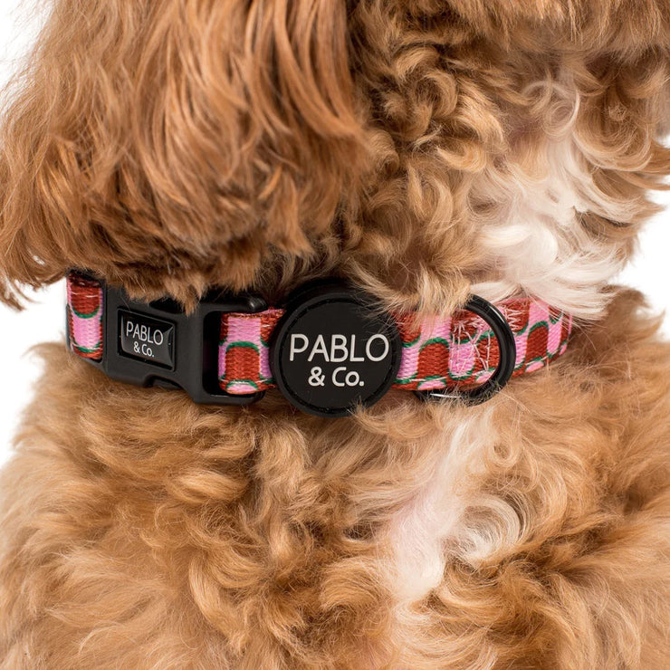 Mod Madness Dog Collar