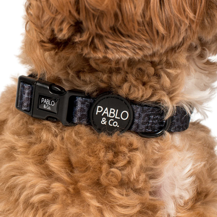 Wild Leopard Dog Collar