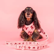 Velvet Blush Bows: Dog Leash