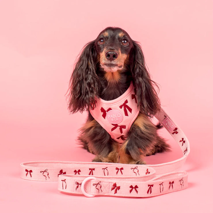 Velvet Blush Bows: Dog Leash