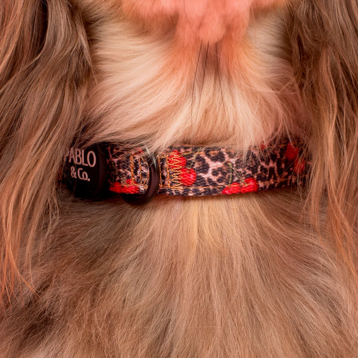 Leopard Cherries Dog Collar