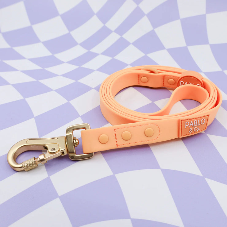 Orange Sherbet Waterproof Leash