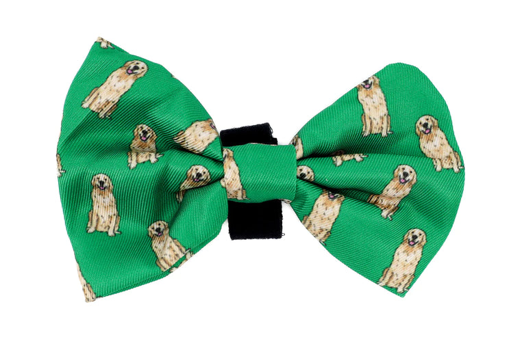 Golden Retriever Bow Tie – Uncanny Animals