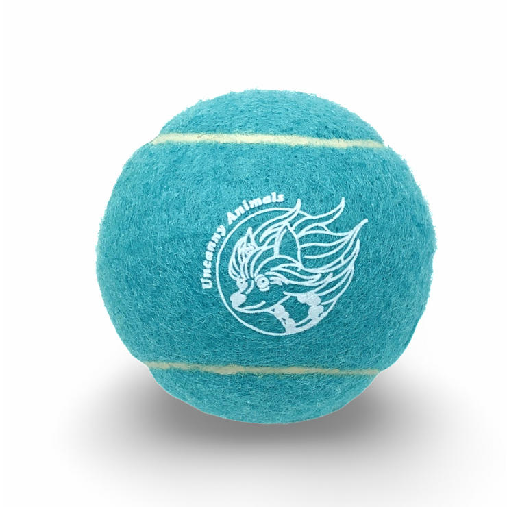 Light Blue Squeaky Tennis Ball