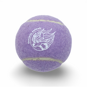 Lavender Purple Squeaky Tennis Ball