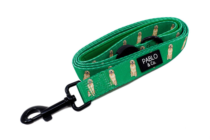 Golden Retriever Breed Leash