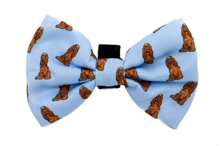 English Cocker Spaniel Bow Tie