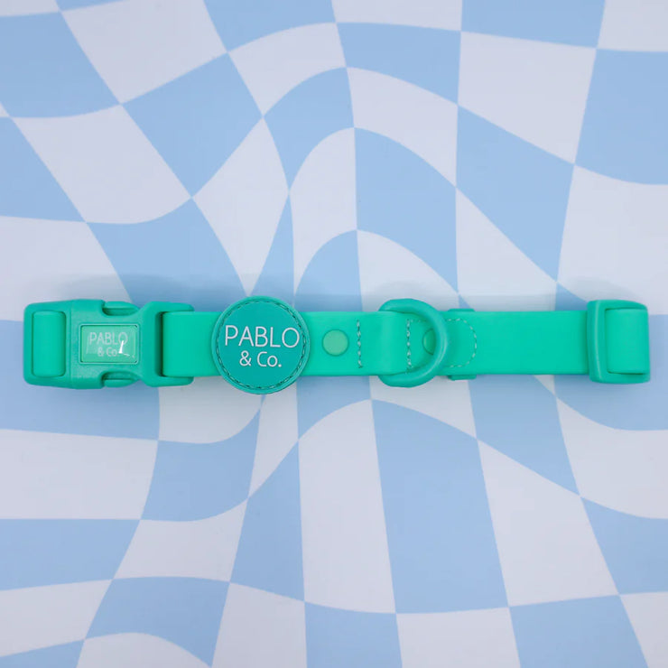 Peppermint Green Waterproof Collar