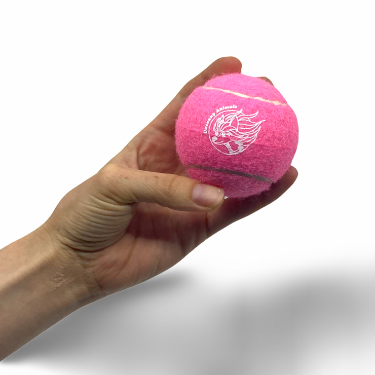 Pink Squeaky Tennis Ball