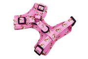 King Charles Cavalier Adjustable Harness