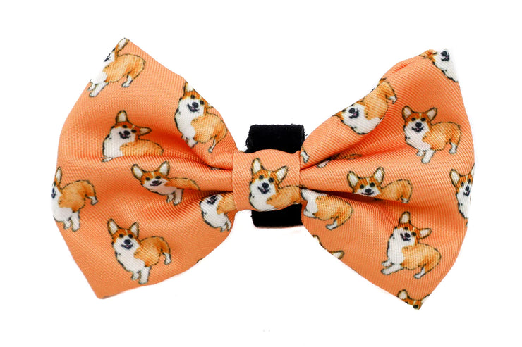 Corgi Bow Tie