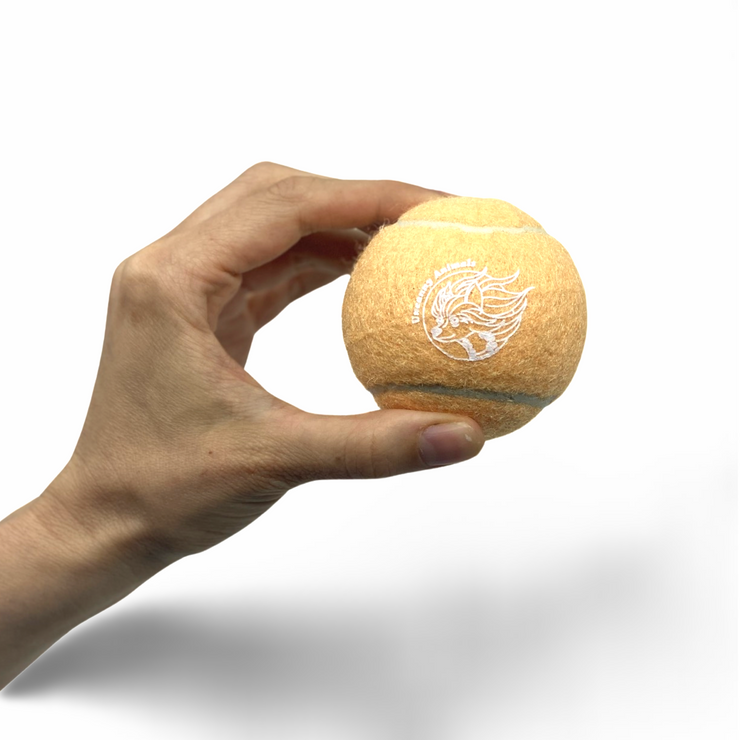 Peach Squeaky Tennis Ball
