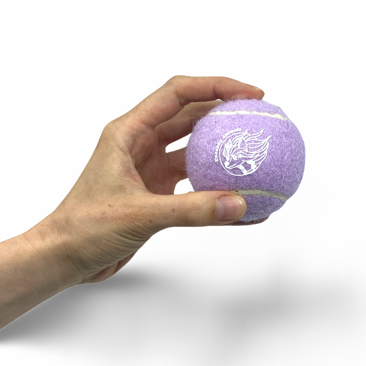 Lavender Purple Squeaky Tennis Ball