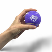 Violet Purple Squeaky Tennis Ball
