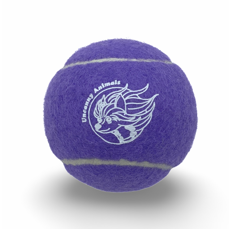 Violet Purple Squeaky Tennis Ball