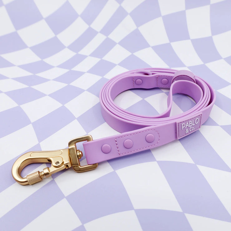 Lavender Purple Waterproof Leash