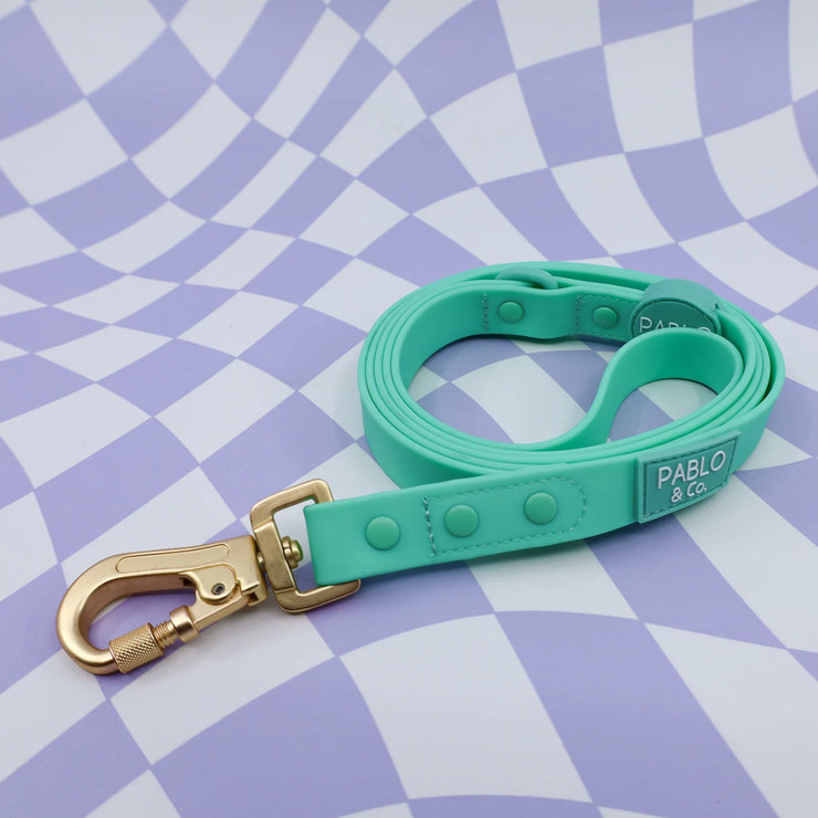 Peppermint Green Waterproof Leash