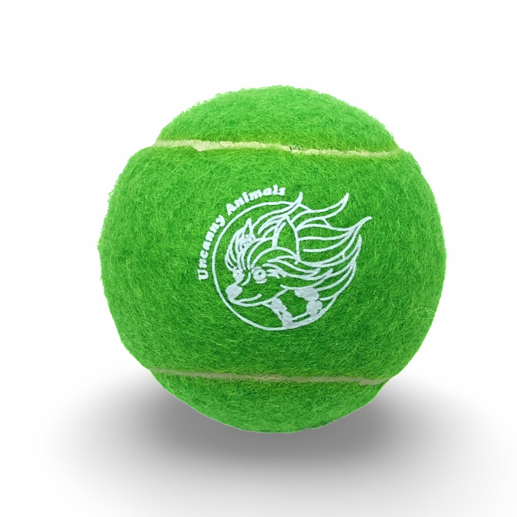 Green Squeaky Tennis Ball