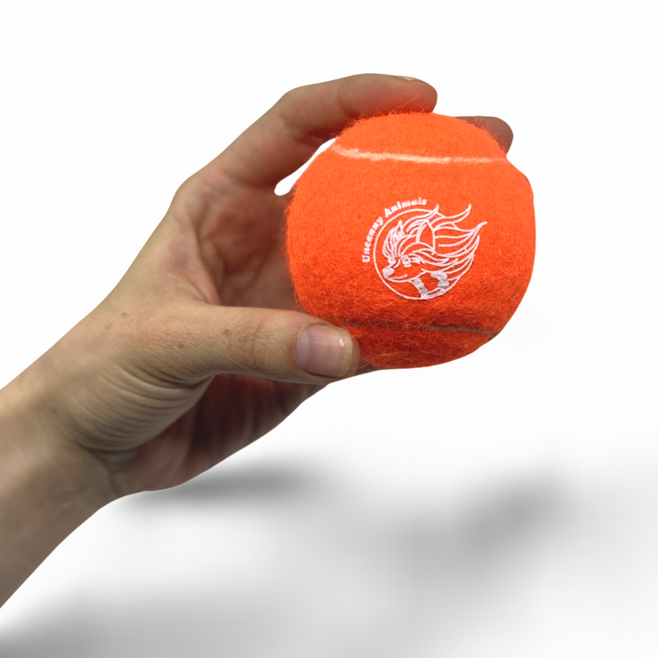 Orange Squeaky Tennis Ball