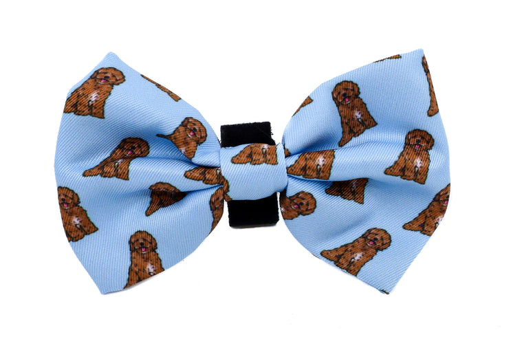 Cavoodle Bow Tie