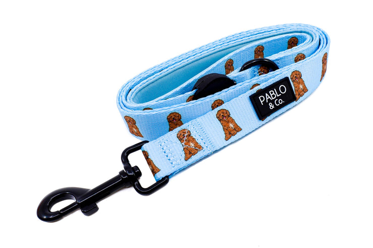 Cavoodle Breed Leash